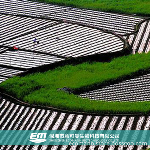 Top 1 Biodegradable Agricultural Film Manufacturer in China